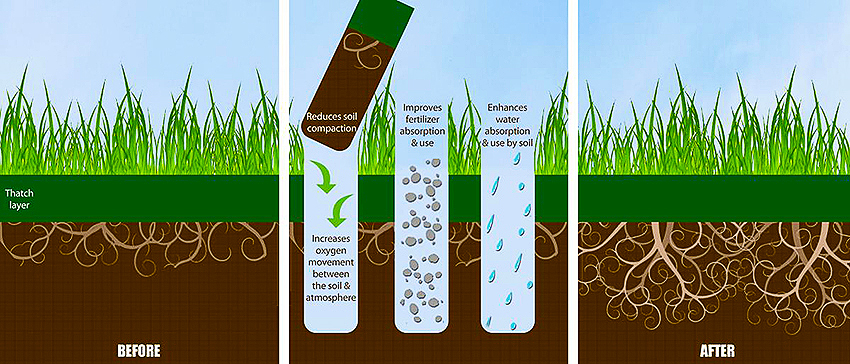 Aeration process illustration