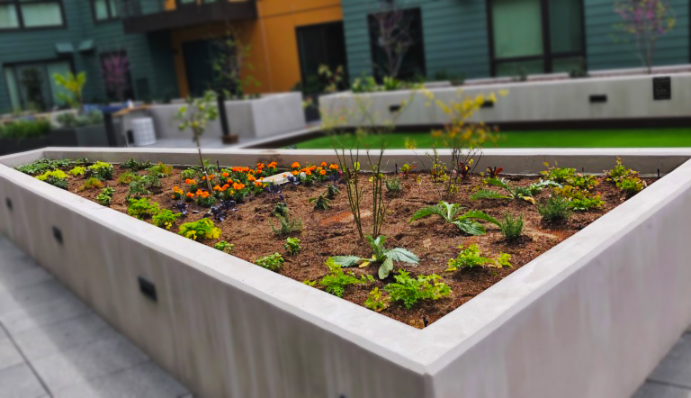 2 Reasons this Urban Multifamily Community Vegetable Garden is Successful