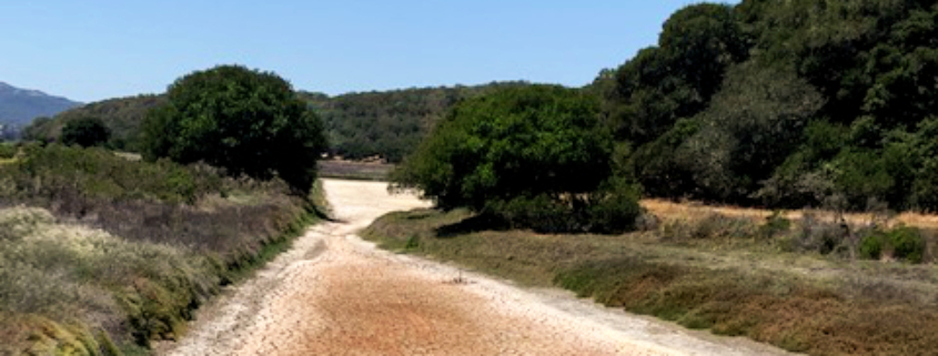 Dry Creek Bed - North Bay