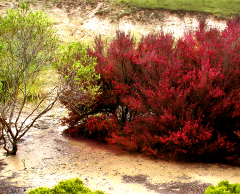 Erosion Damage