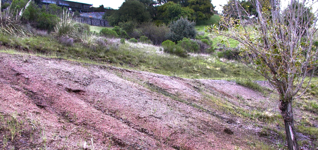 Hillside Erosion Damage