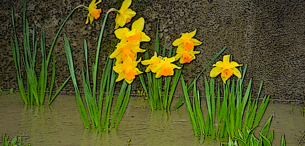 Example of flooded planter bed