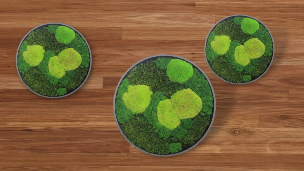 Moss art circles