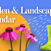 Annual landscape calendar
