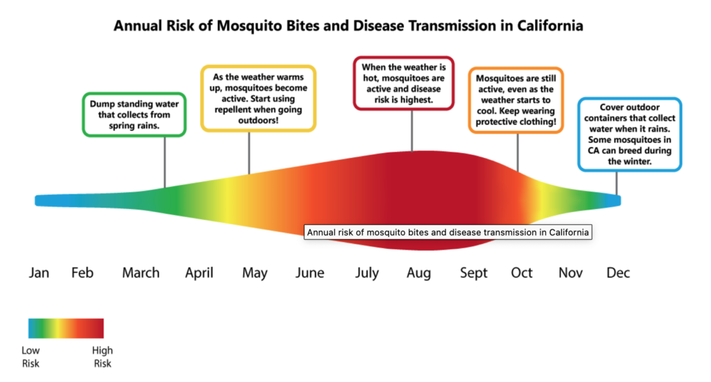 when mosquito population is the highest