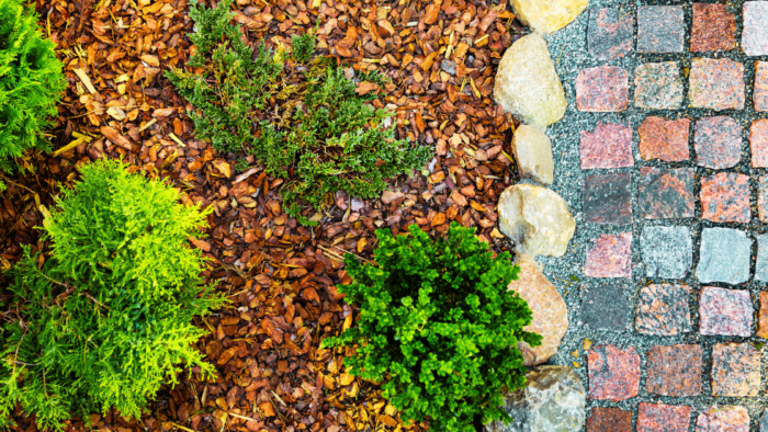Mulch in the landscape