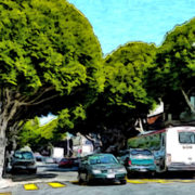 Urban Street Trees