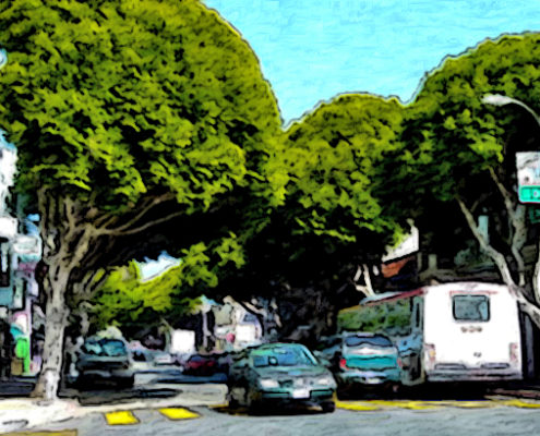 Urban Street Trees