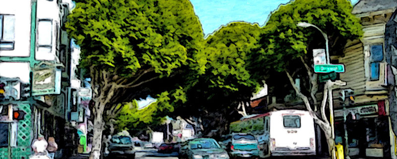 Urban Street Trees