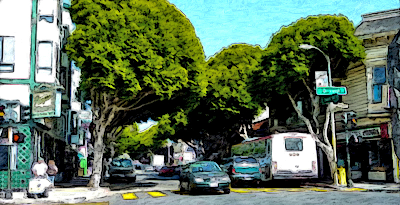 Urban Street Trees