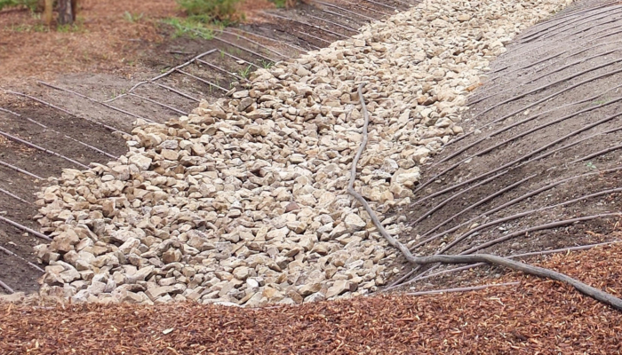 Dry creek bed Santa Rosa