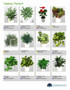 GGI Interior Plant Catalog