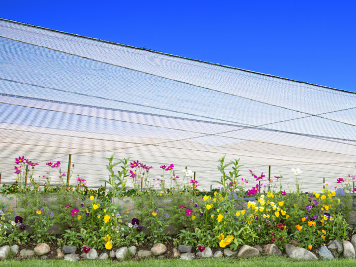 Shade Cloth Protects Plants
