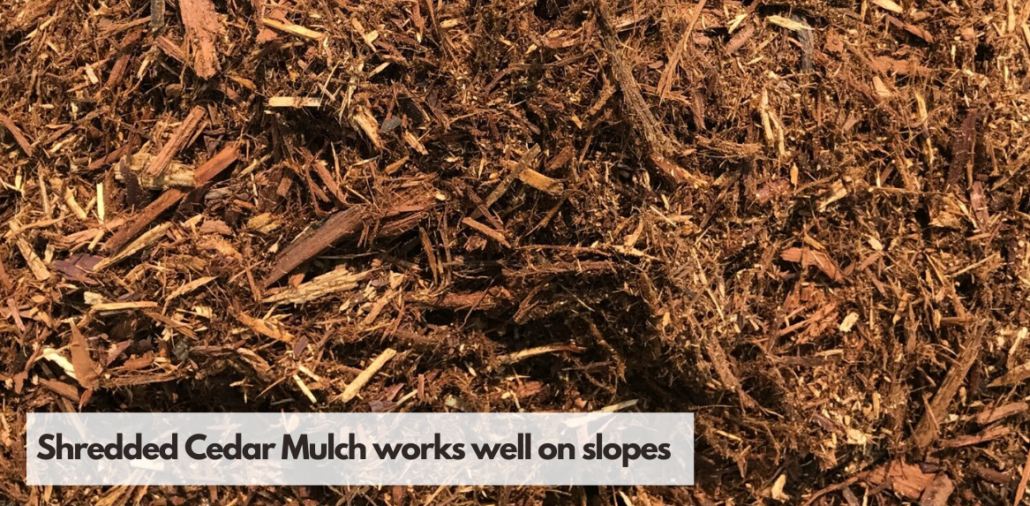 Cedar Mulch for Slopes