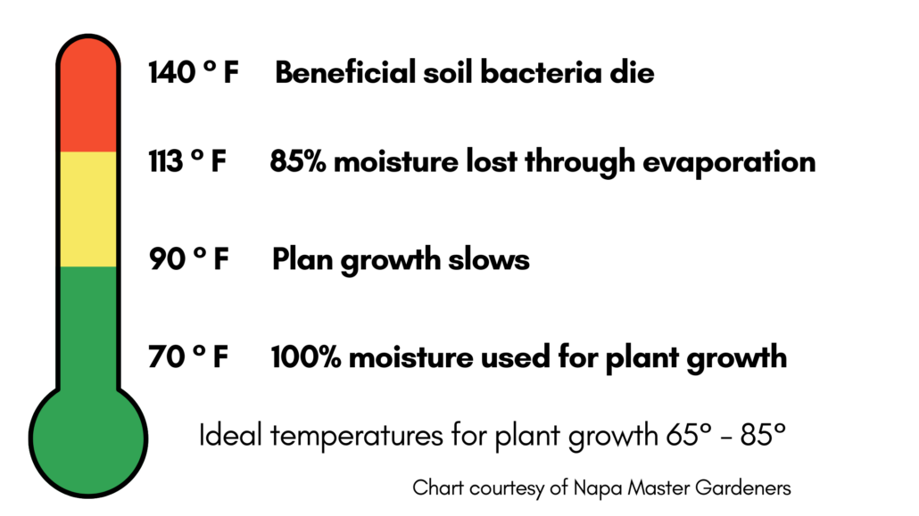 Temperature gauge shows extreme heat impact on plants