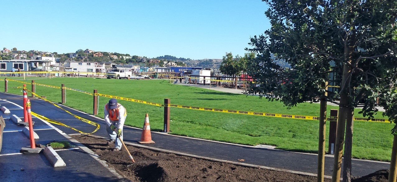 New turgrass installed in the Waldo Point Park